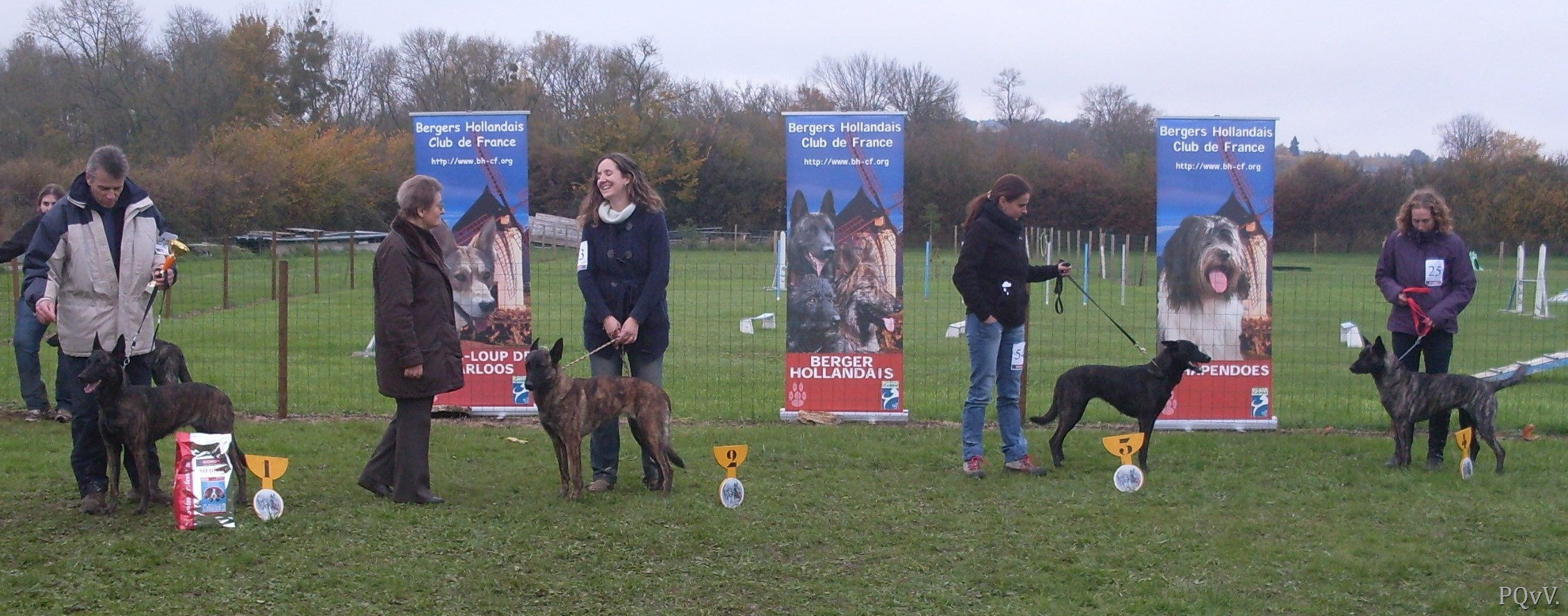  classe travail femelles : Dipxy, Enke, Faer Wenn, Demeter